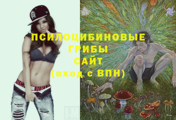гашик Беломорск